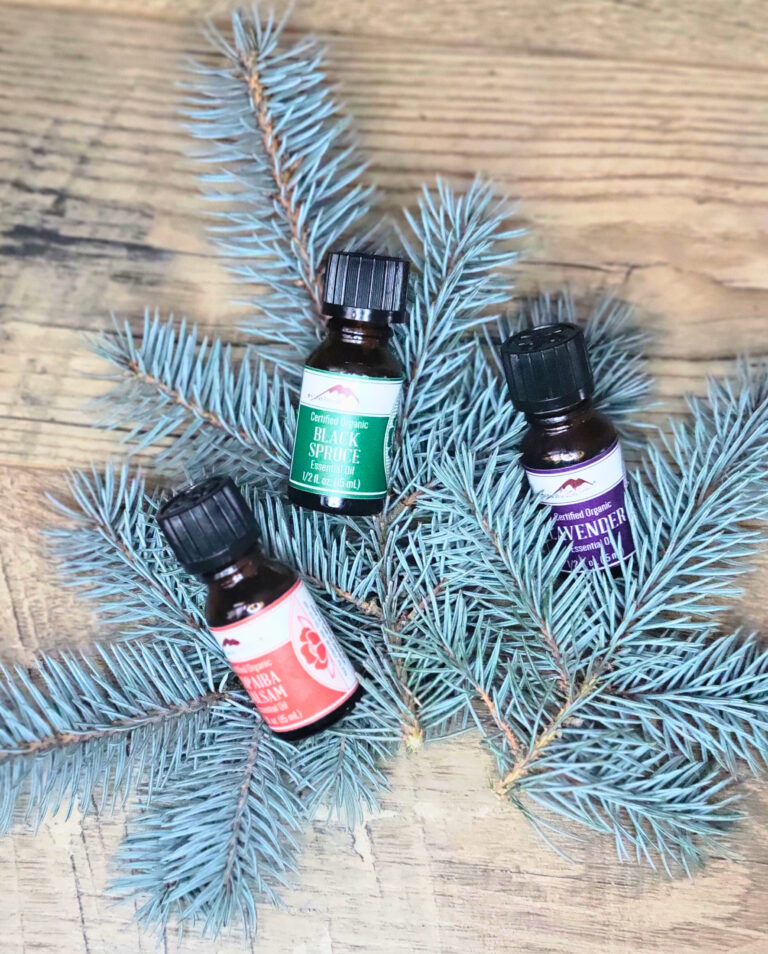Topical pain relief with copaiba oil and black spruce, lavender laying on top of spruce tree branches.
