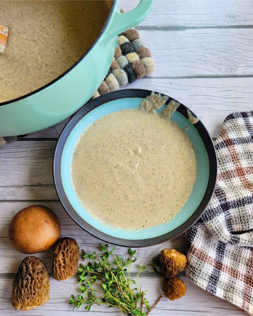 Dairy-free cream of mushroom soup in a bowl and a dutch oven with fresh morel mushrooms and fresh thyme.