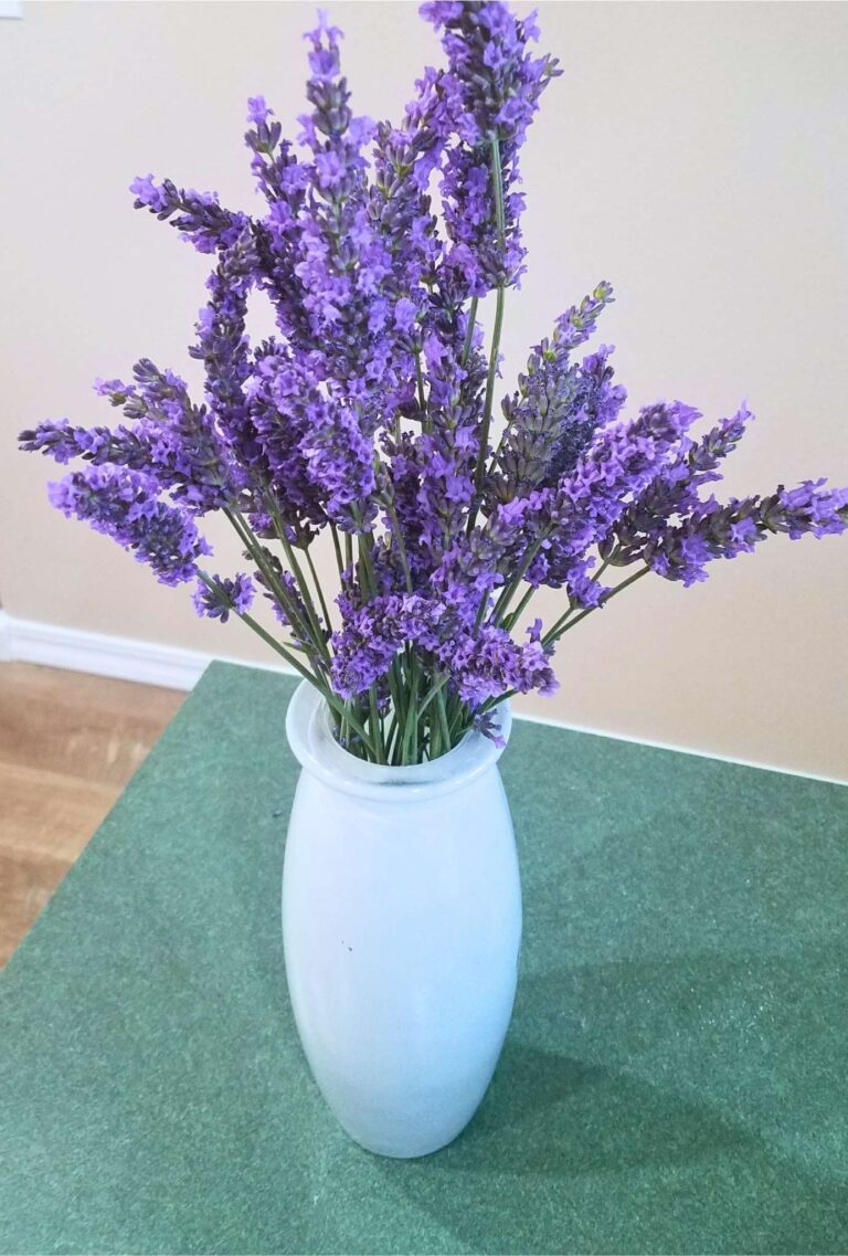 Migraine Attacks: The Best Natural Remedies